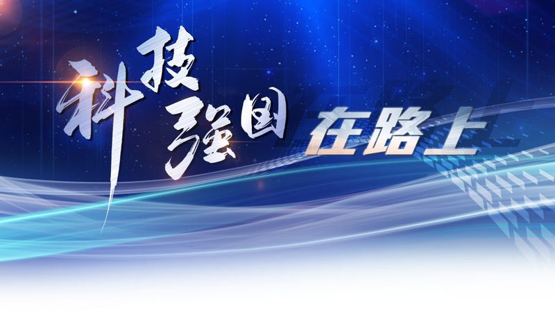 SaaS平台按年付费和买断哪个划算