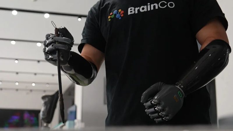 人工智能应用趋势解析：定制开发的关键考量
